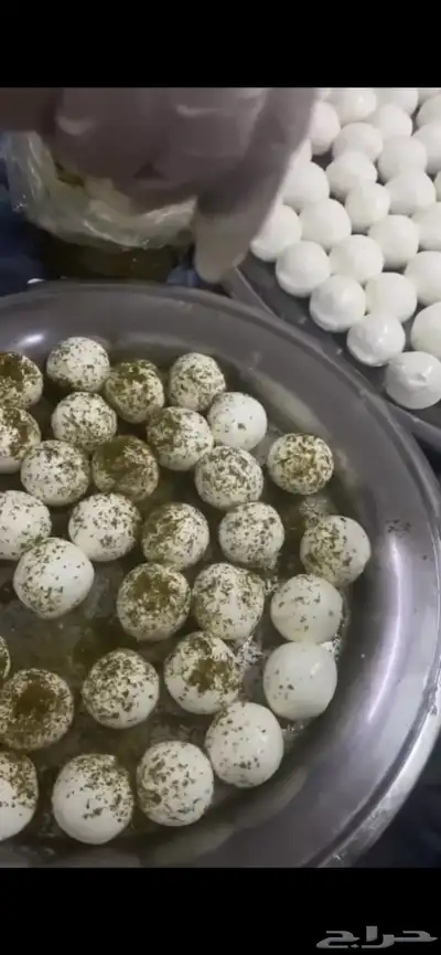 خاثر غنم لبن غنم زبده غنم غرس اوقشطه غنم سمن غنم شايط وغير 15