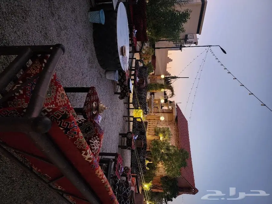 استراحه الخيل للأيجار البكيريه 10