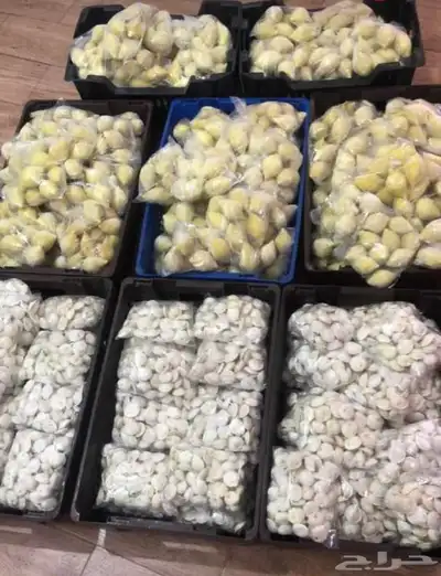 خاثر غنم لبن غنم زبده غنم غرس اوقشطه غنم سمن غنم شايط وغير 31