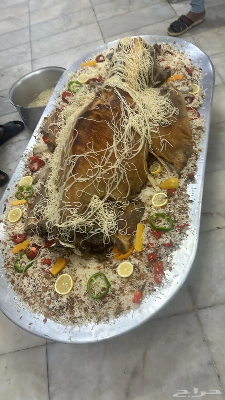 فقار حاشي عرض صغير حوار ب 3400 مع الطبخ 12