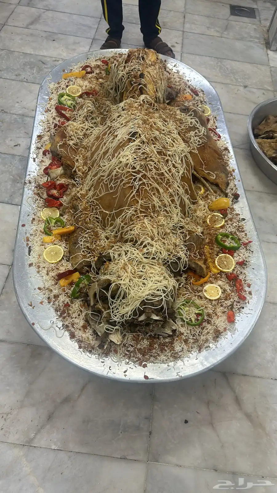 فقار حاشي عرض صغير حوار ب 3400 مع الطبخ 8
