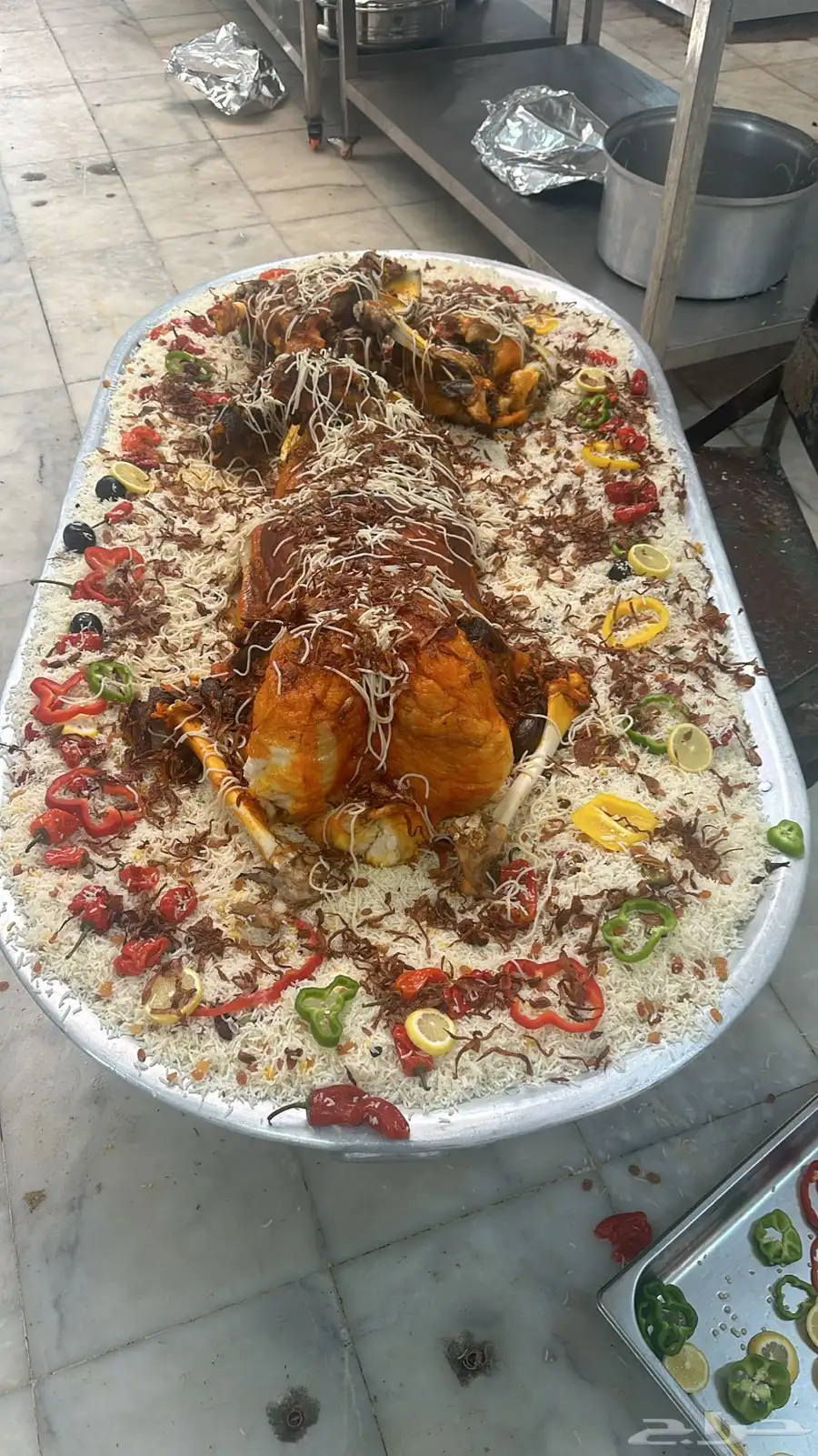 فقار حاشي عرض صغير حوار ب 3400 مع الطبخ 6