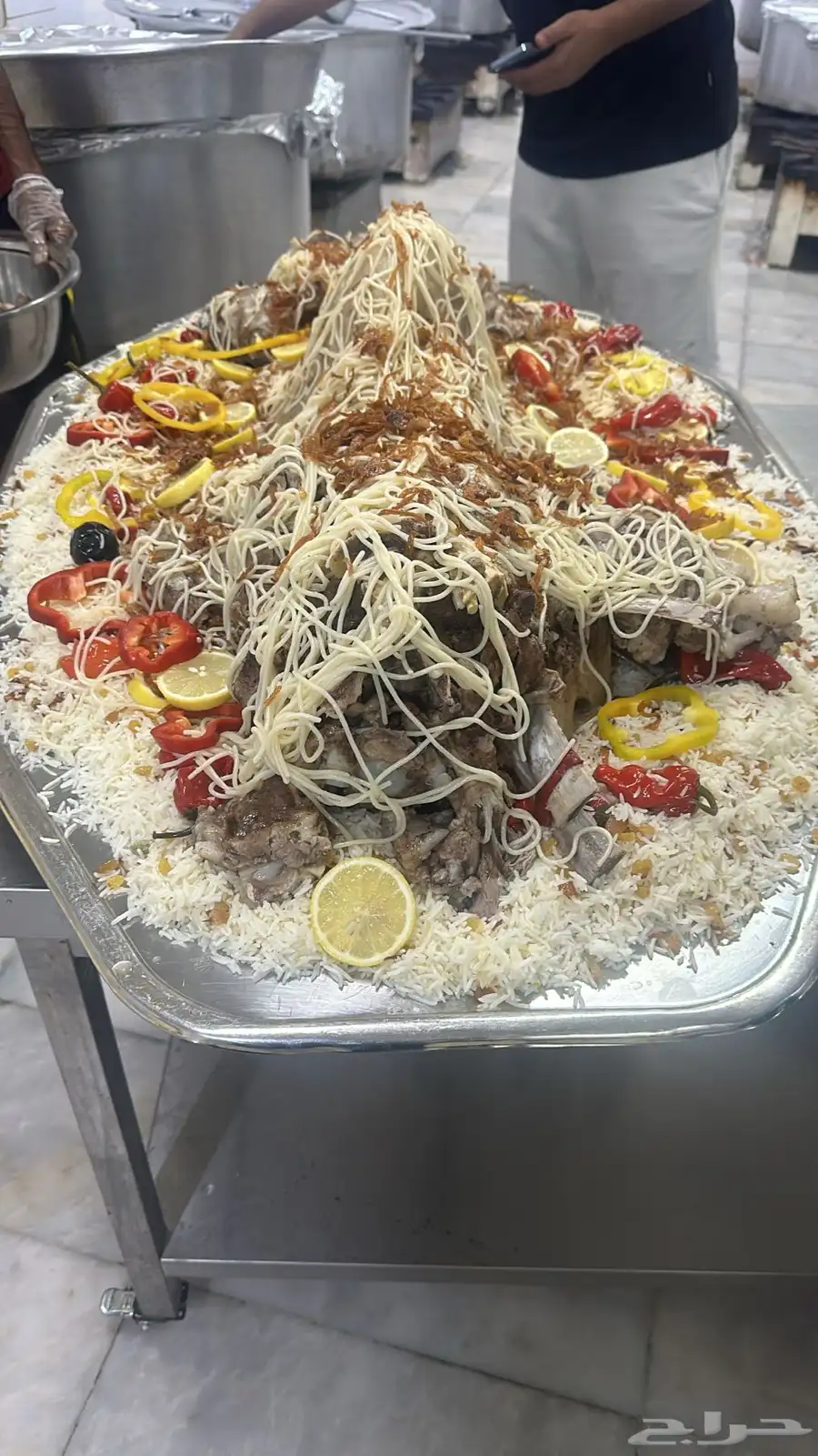فقار حاشي عرض صغير حوار ب 3400 مع الطبخ 2