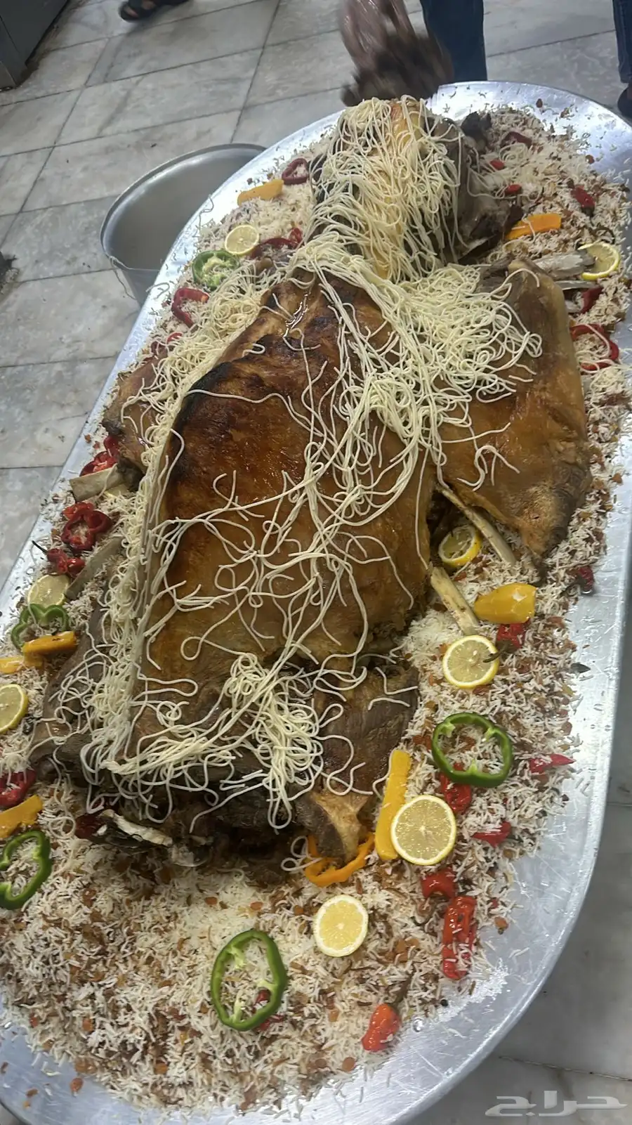 فقار حاشي عرض صغير حوار ب 3400 مع الطبخ 10
