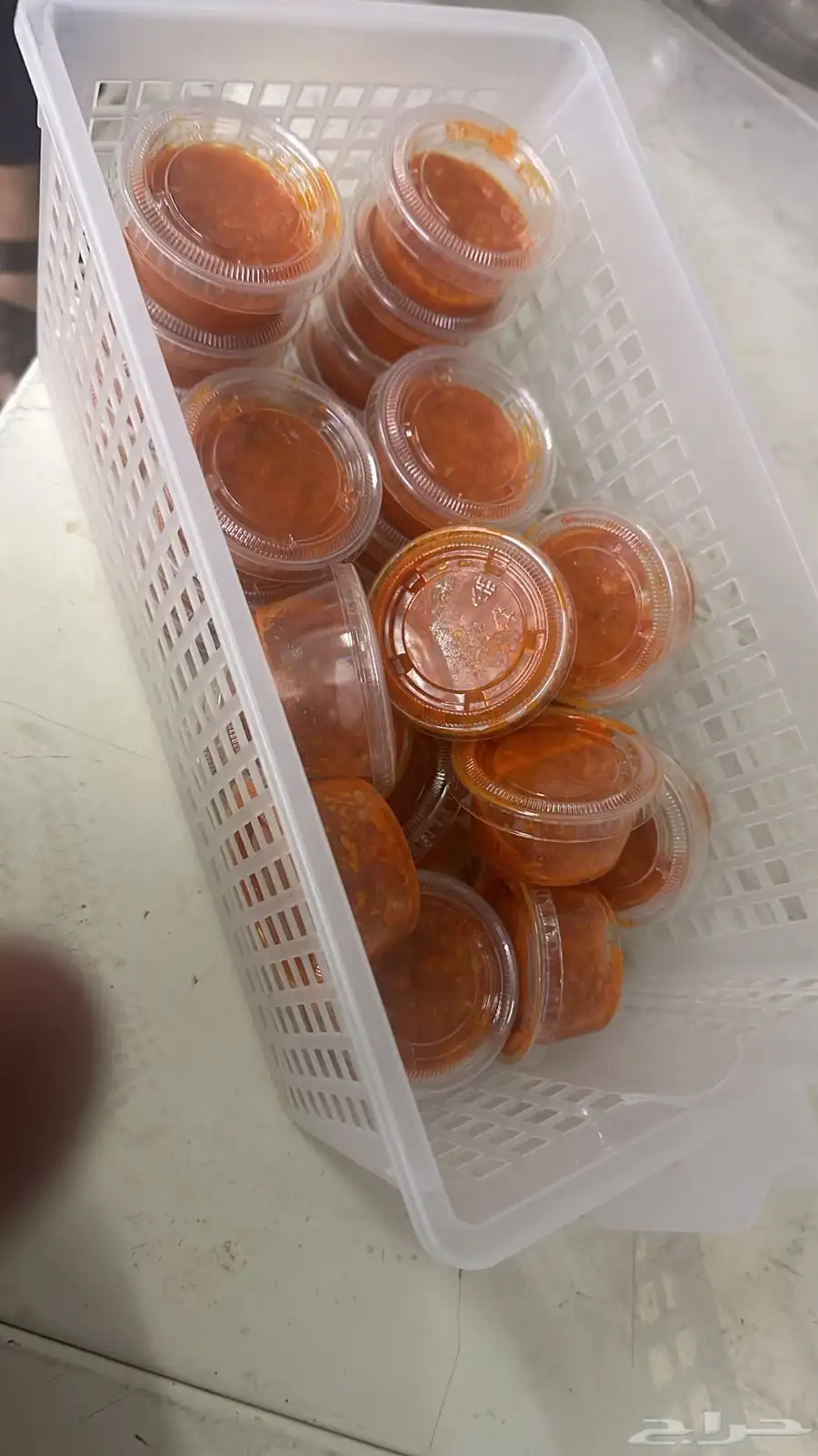 فقار حاشي عرض صغير حوار ب 3400 مع الطبخ 26