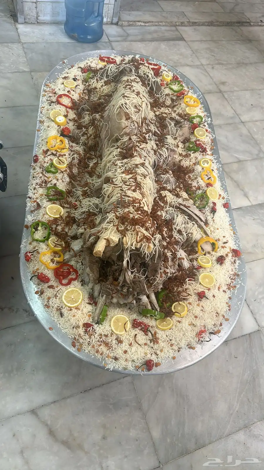 فقار حاشي عرض صغير حوار ب 3400 مع الطبخ 4