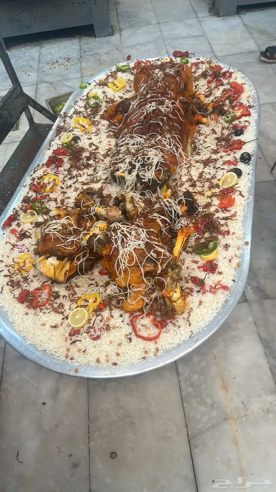 فقار حاشي عرض صغير حوار ب 3400 مع الطبخ 5