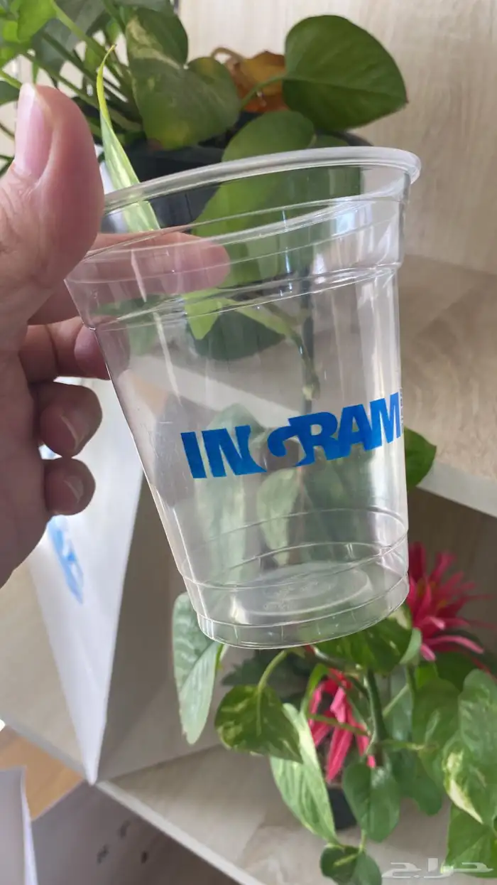 بوكسات اكياس عبايات اكياس فساتين شرايط اكواب أكياس شحن كروت 76