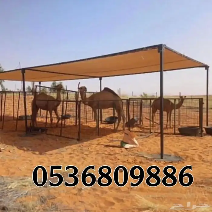 مظلات الابل او مظلات الحلال 6