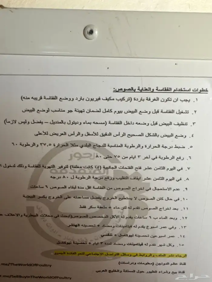 فقاسة 1232 بيضة ضمان سنتين الاستعمال 22يوم فقط شبه جديده 3