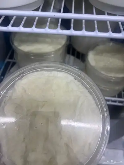 مقدوس نوعين بدنجان فاصوليا لبنه غنم جبن غنم خاثر غنم لبن غن 2