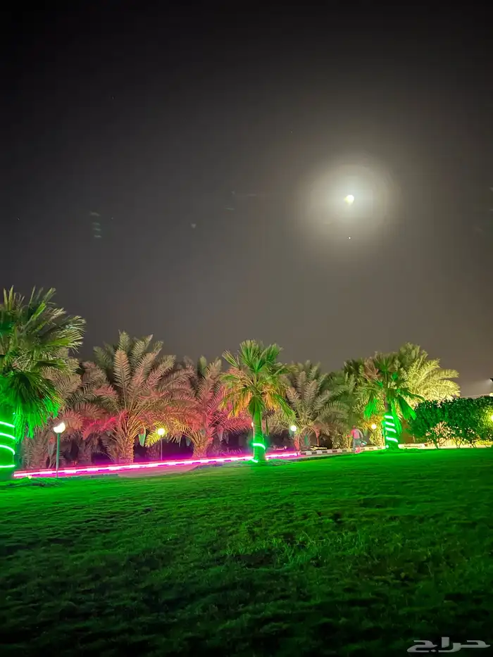 منتجع للايجار عروض 2