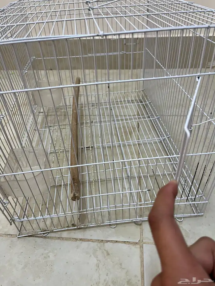 قصف طيور 2