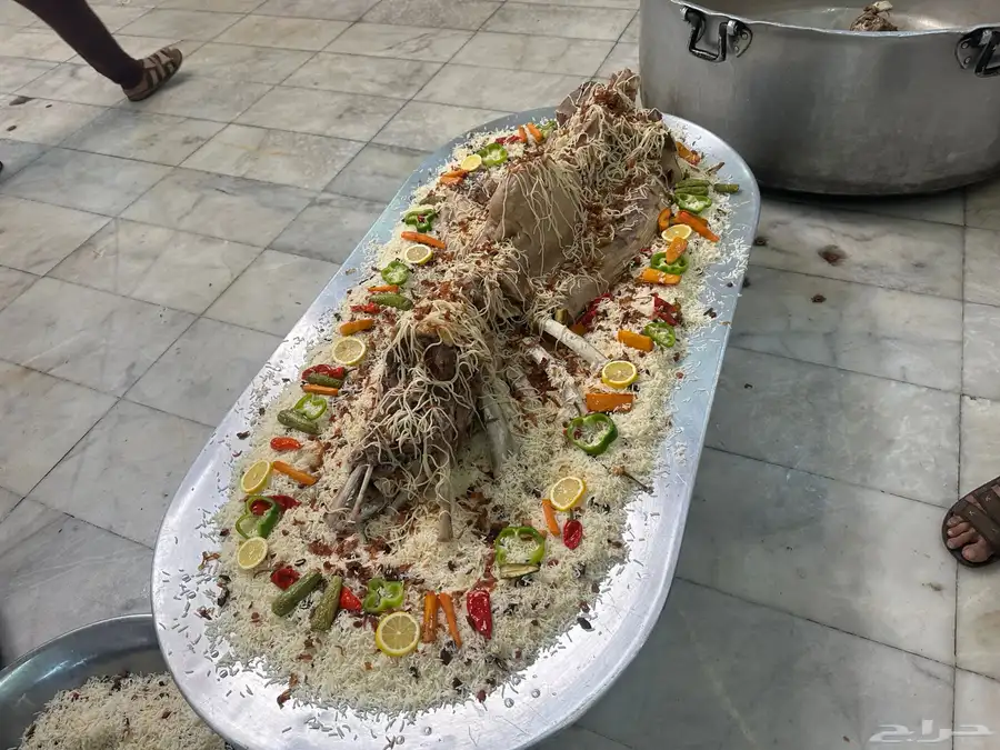 فقار حاشي عرض صغير حوار ب 3400 مع الطبخ 29