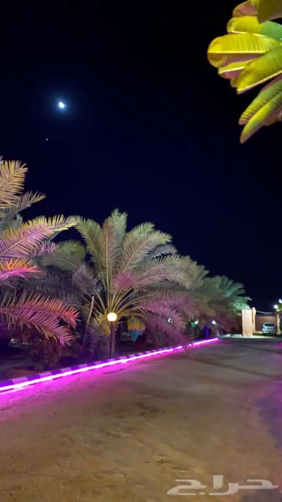 منتجع للايجار عروض 11