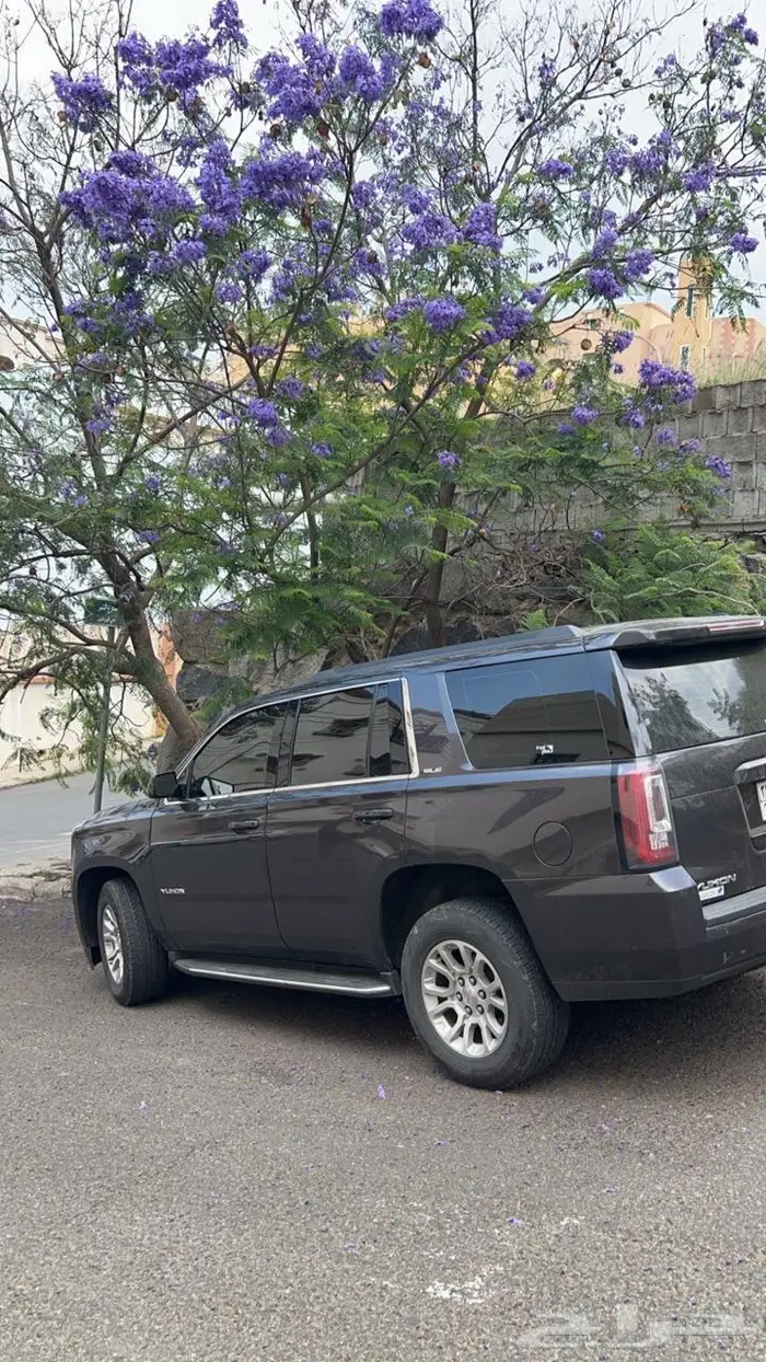 مرشد سياحي في عسير 4