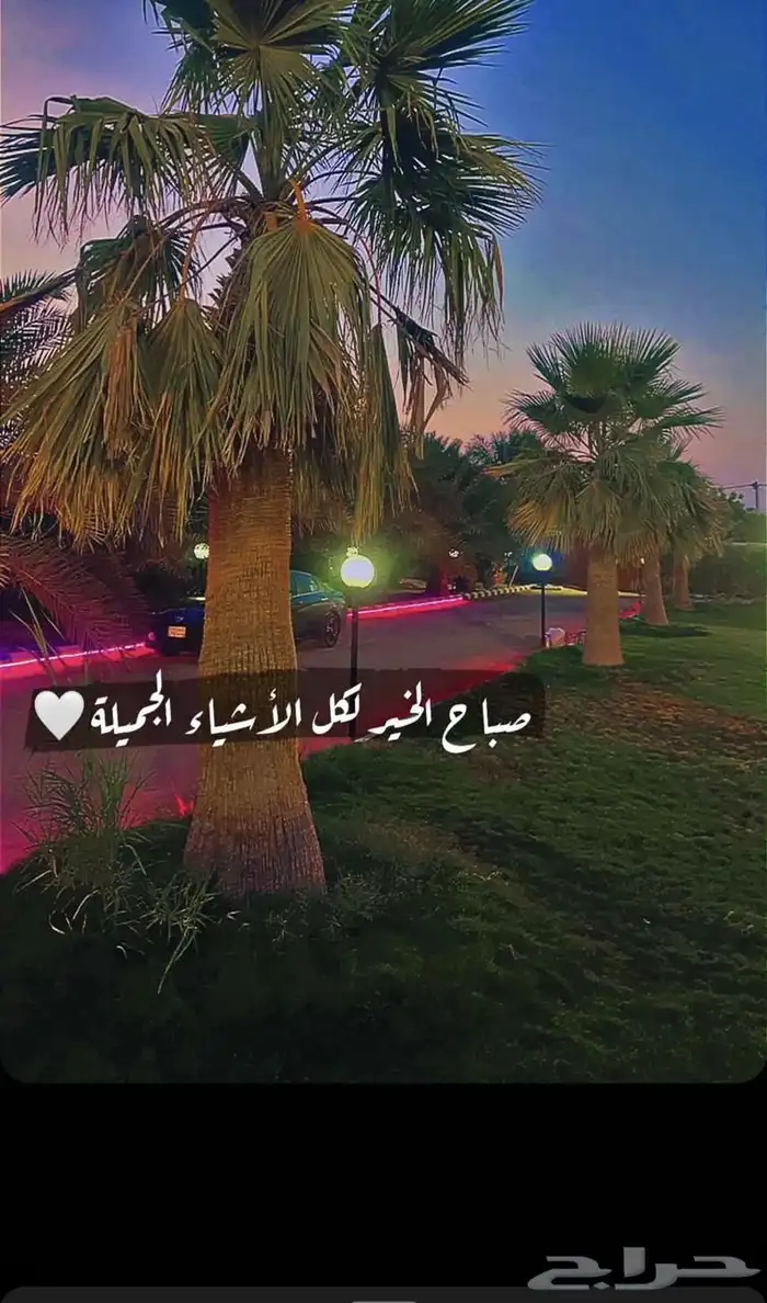 منتجع للايجار عروض ولا احلا 7