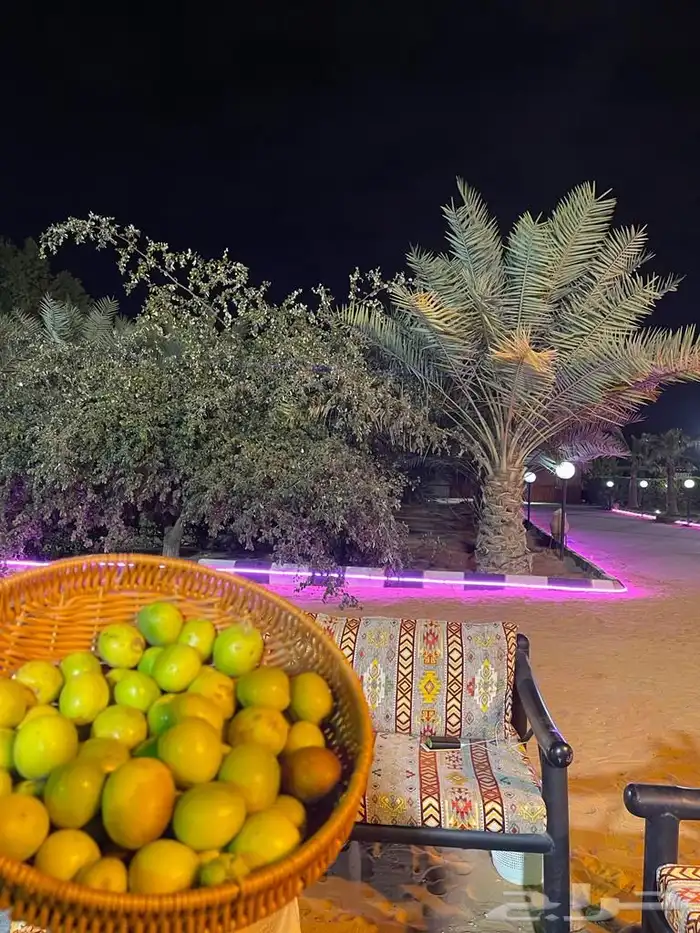 منتجع للايجار عروض ولا احلا 24