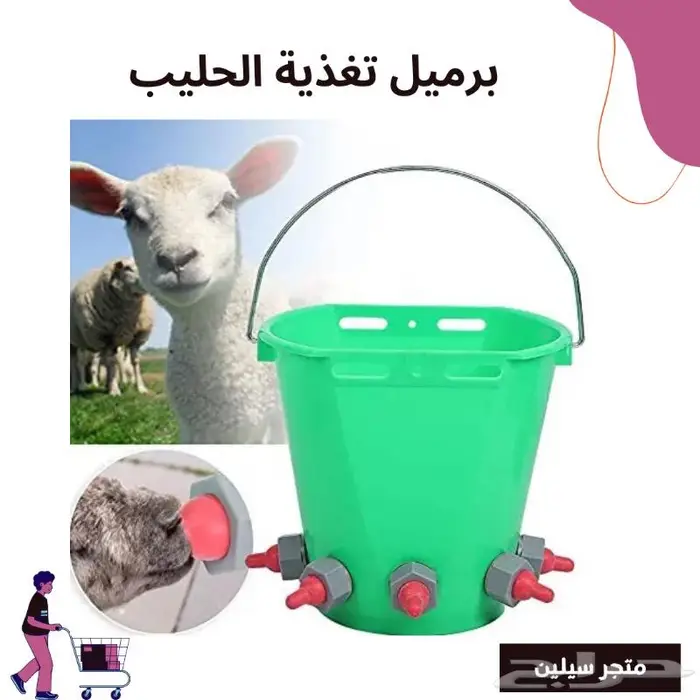 سطل رضاعة وتغذية الأغنام 0