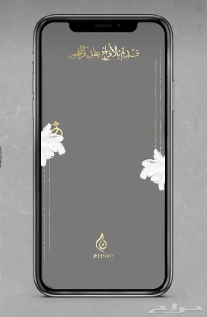 تصميم فلاتر سناب 1