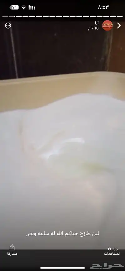 مقدوس نوعين بدنجان فاصوليا لبنه غنم جبن غنم خاثر غنم لبن غن 12