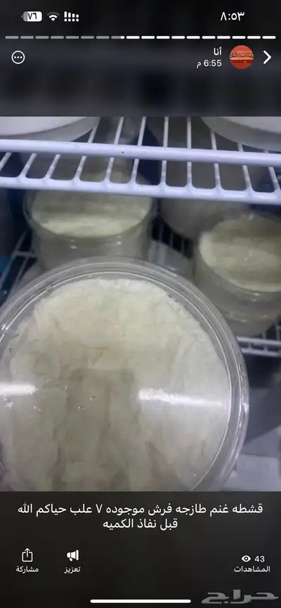 مقدوس نوعين بدنجان فاصوليا لبنه غنم جبن غنم خاثر غنم لبن غن 13