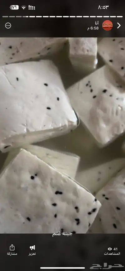 مقدوس نوعين بدنجان فاصوليا لبنه غنم جبن غنم خاثر غنم لبن غن 9