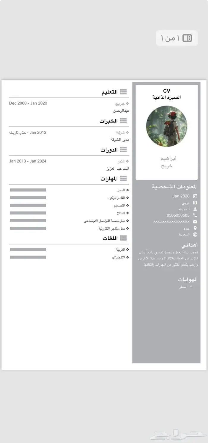عمل سيرة ذاتية احترافيةPDF 0