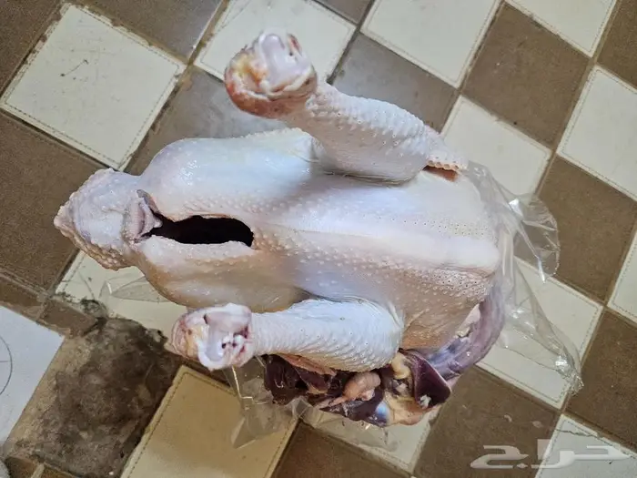 رومي ديك ذبح طازج عند.الطلب 2