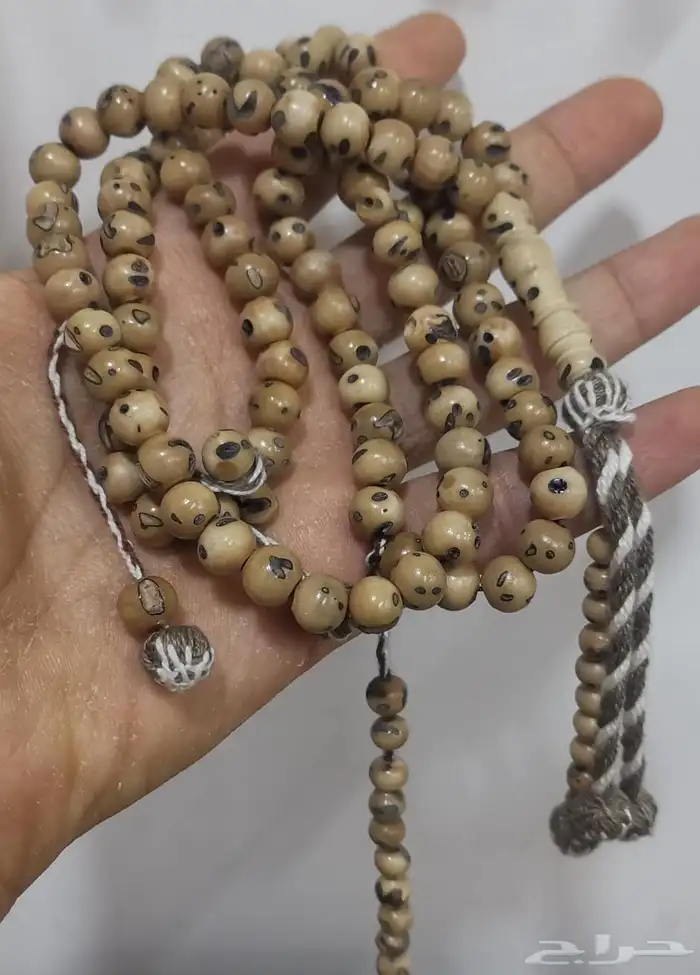 الهفوف الطرف 1