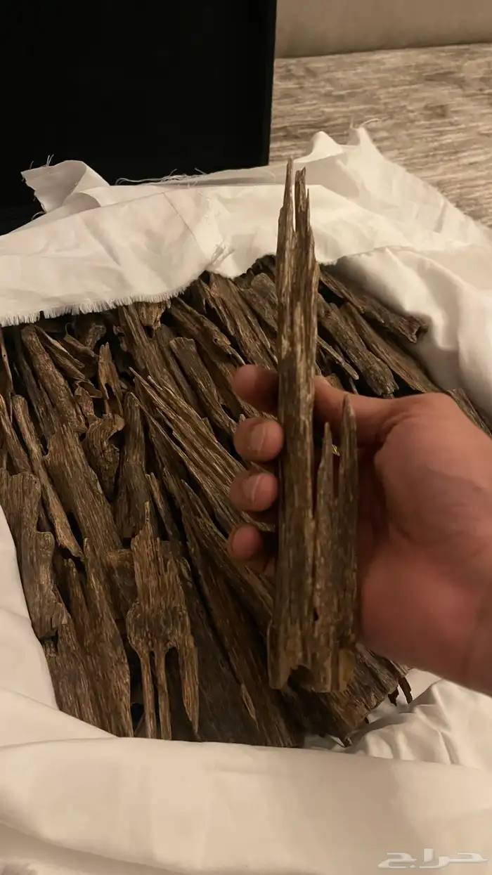 هندي نجلاند 2