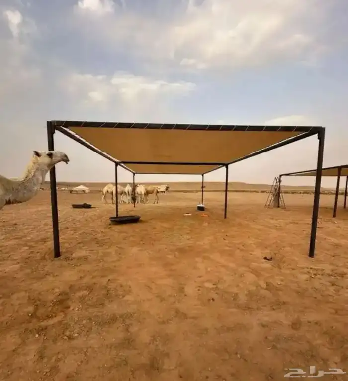 مضلات بل  مضلات سياره 0