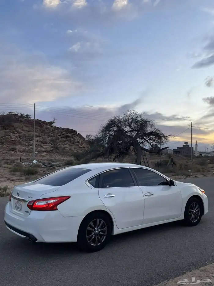 التيما نص فل 2017 1