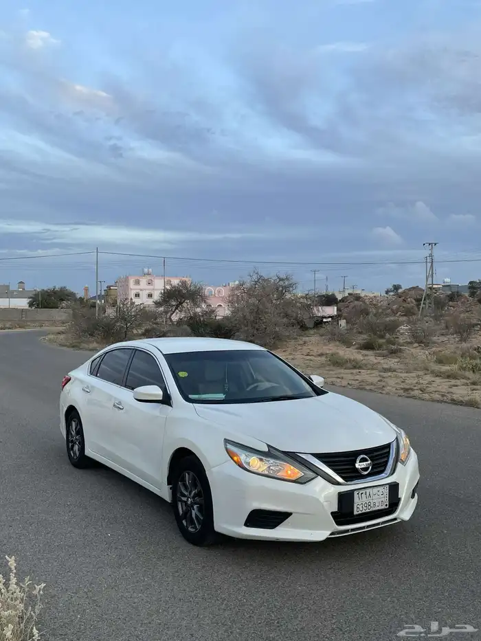 التيما نص فل 2017 2