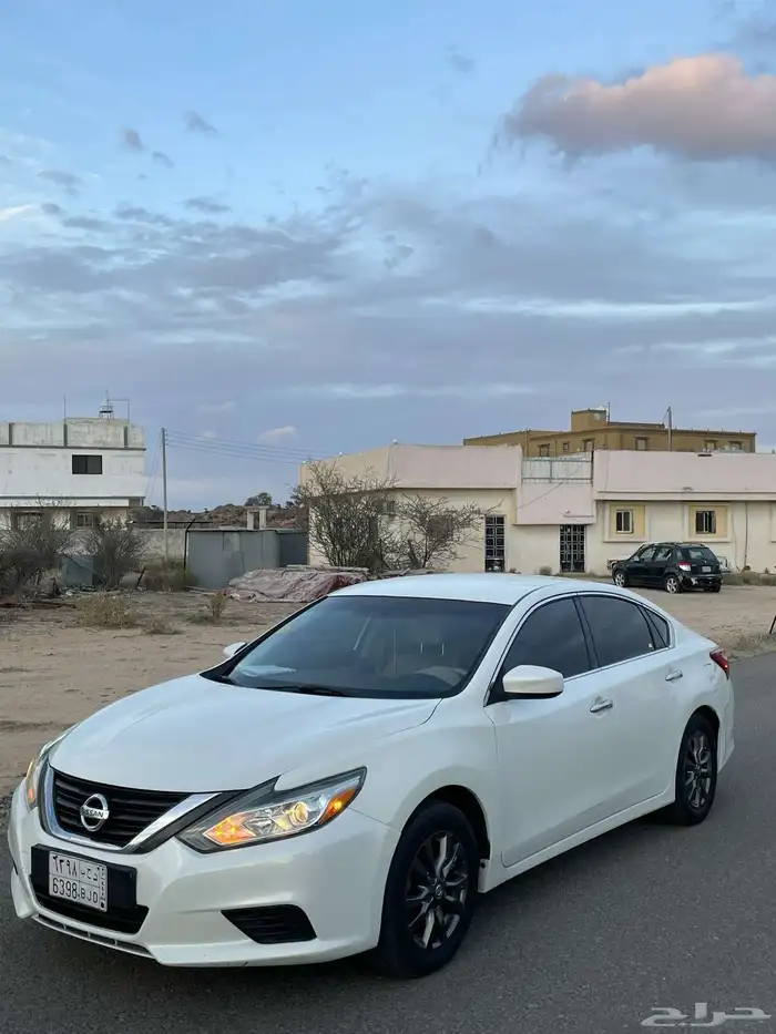 التيما نص فل 2017 5