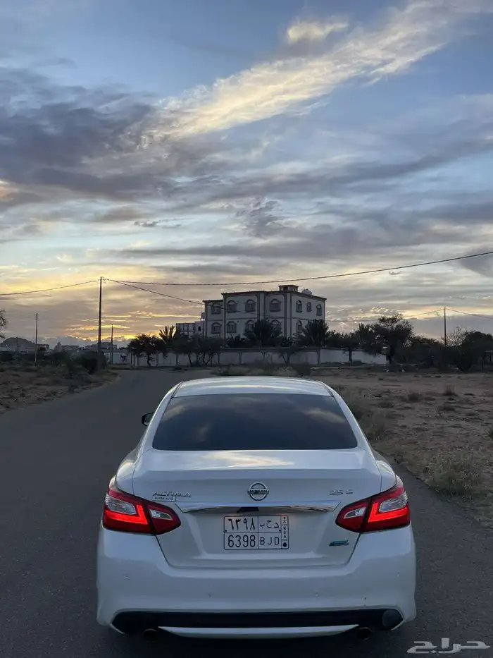 التيما نص فل 2017 3