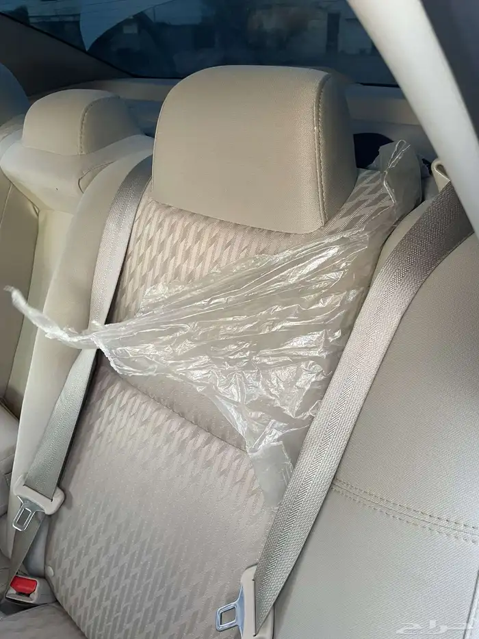 التيما نص فل 2017 7