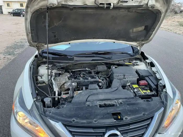 التيما نص فل 2017 6