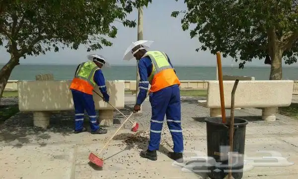 شماسي راس تحمى من اشعة الشمس للعمال والتوزيع الخيرى 4