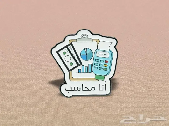 محاسب مصري خبرة 13 سنة دوام جزئي او زيارات 0