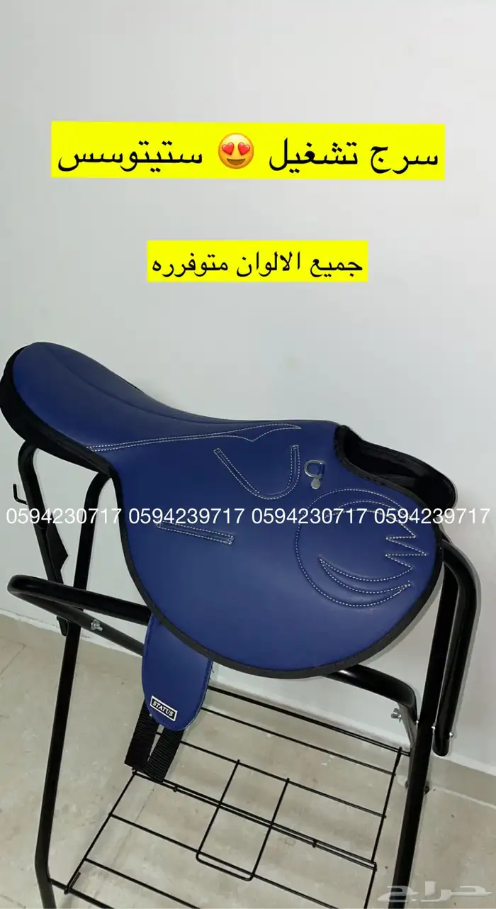سرج ستيتوس اقساط 11