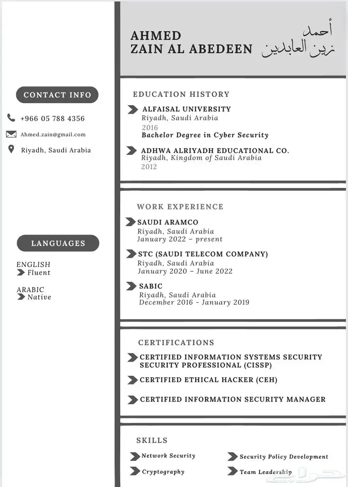 تصميم سيرة ذاتية بالإنجليزي والعربي CV Resume 0