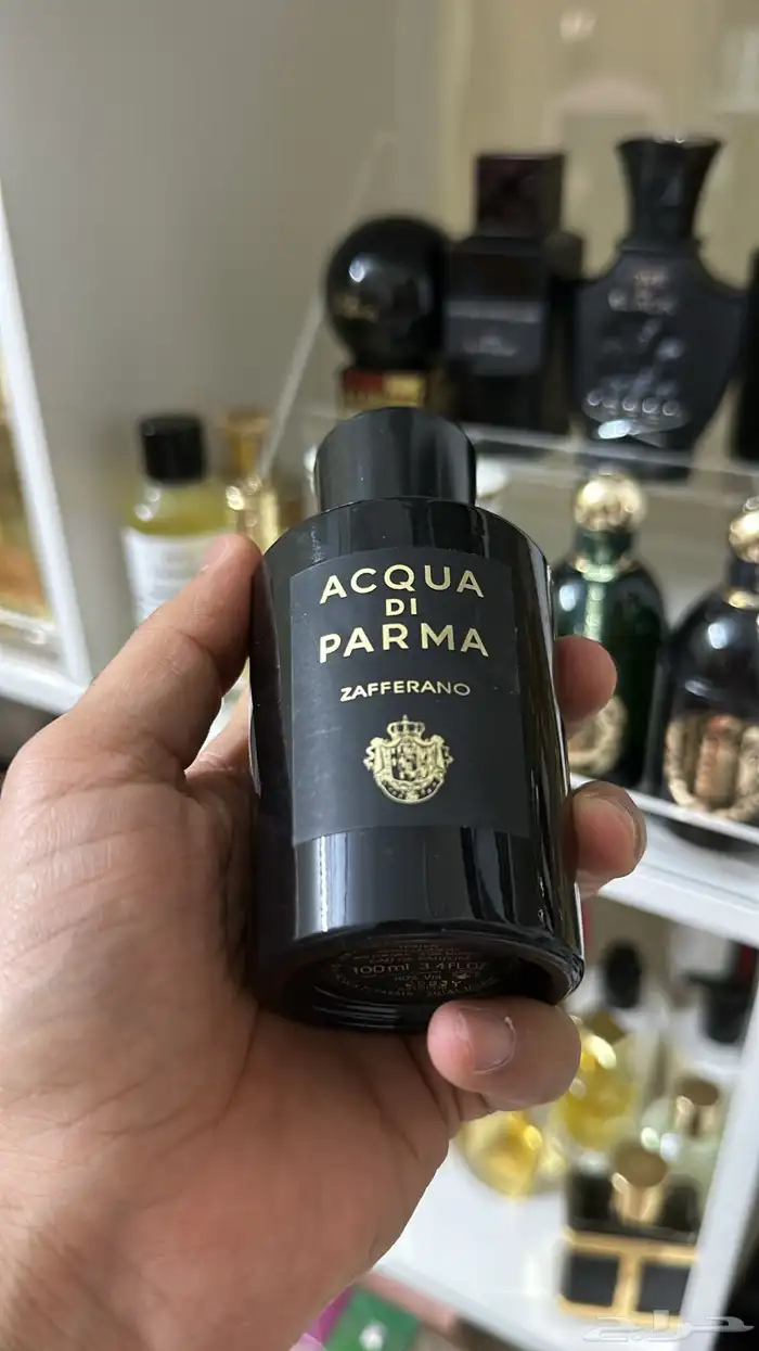 عطور حصريه و نيش 6