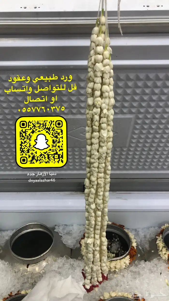 فل عقود للعرسان وورود طبيعيه وشتلات للتواصل اتصال أوواتساب 76