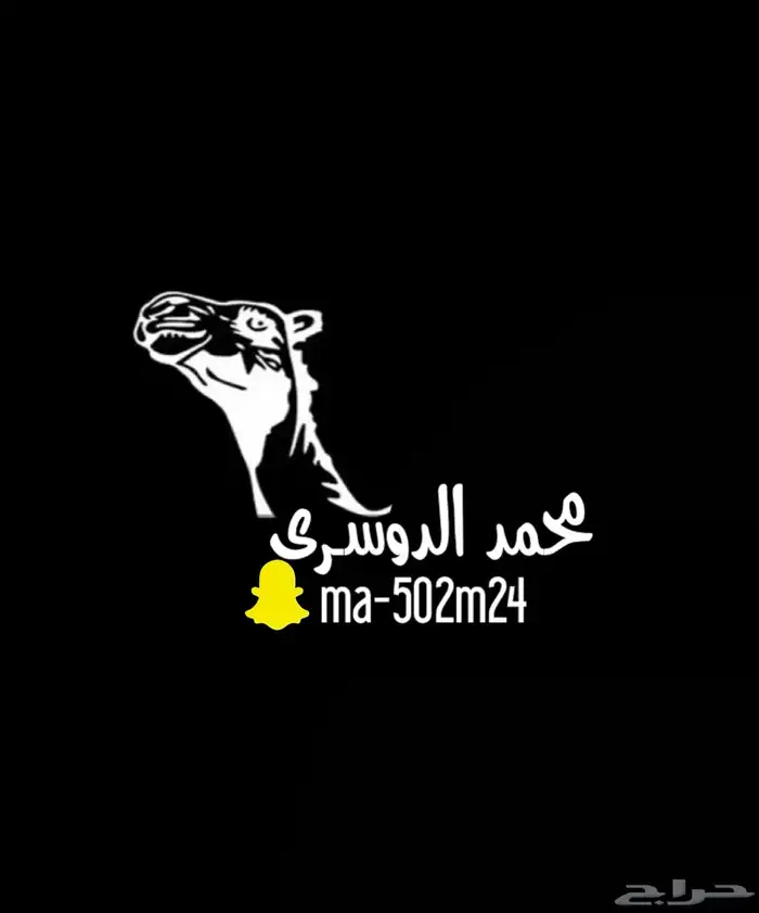 مصمم حقوق بجميع الطلبات 0