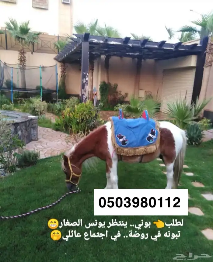 نطيطات هوائيه زحاليق هوائيه العاب هوائيه العاب اطفال 16