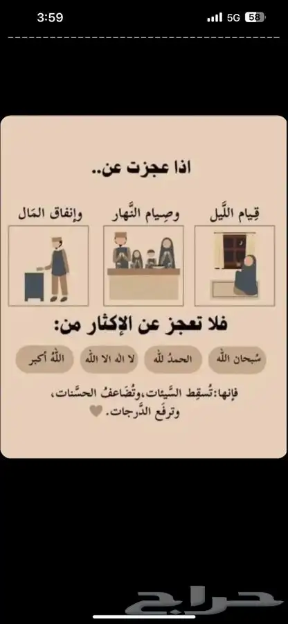 سجاد و موكيت 1