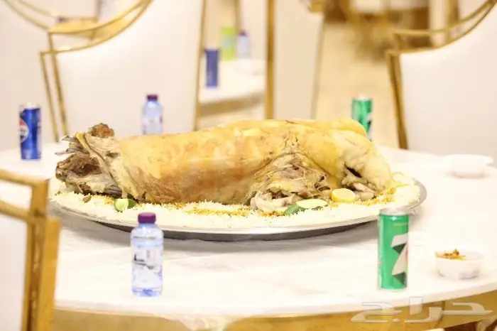 مصور محترف الرياض الخرج الدلم الافلاج الحريق 0