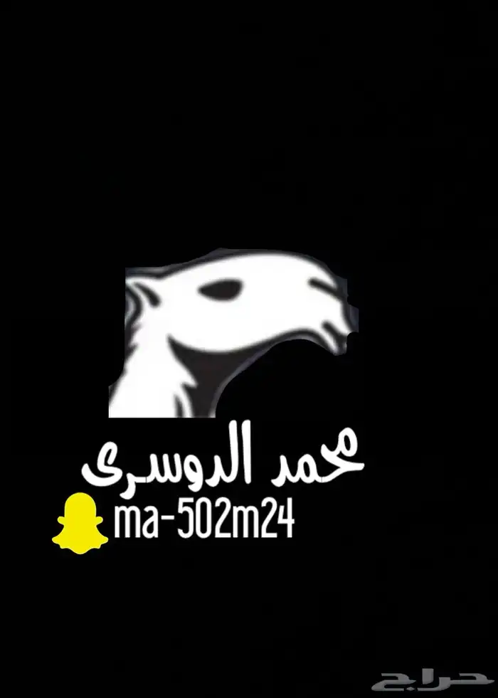 مصمم حقوق بجميع الطلبات 1