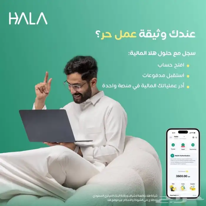 شركة هلا ( جهازة شبكة نقاط بيع) 2